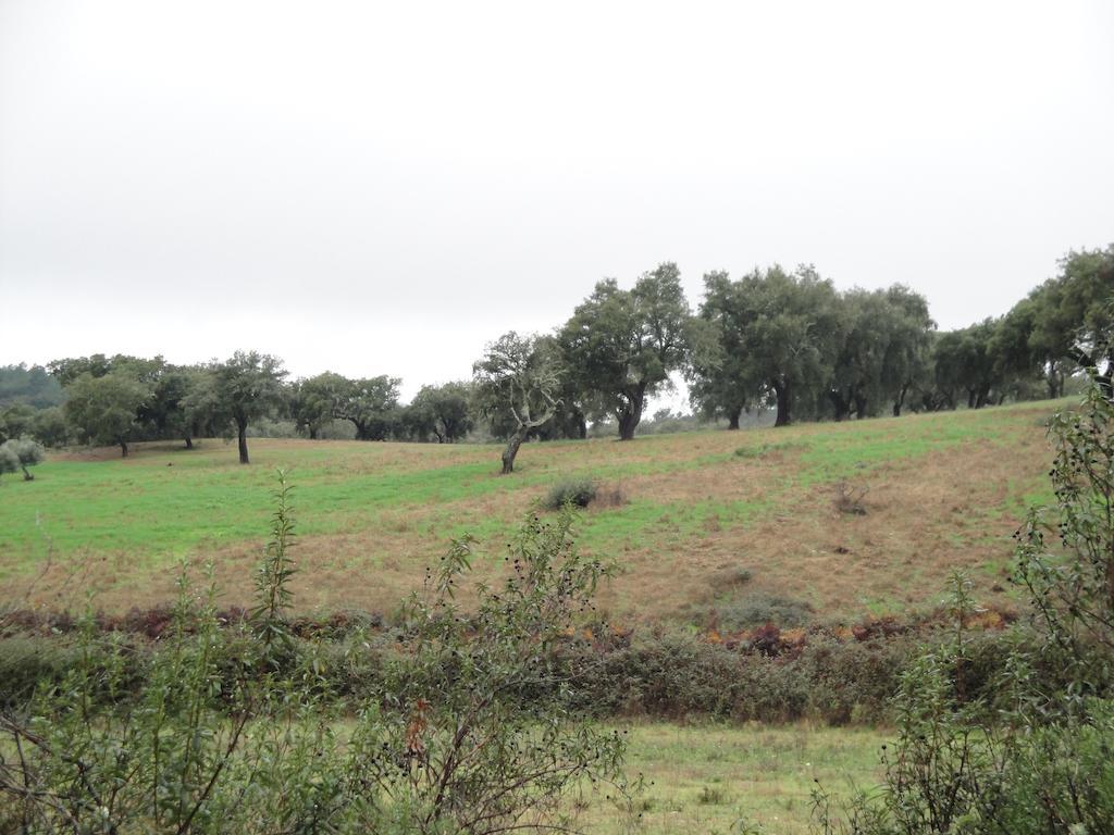 Casa Rural Sierra San Mamede La Codosera Luaran gambar