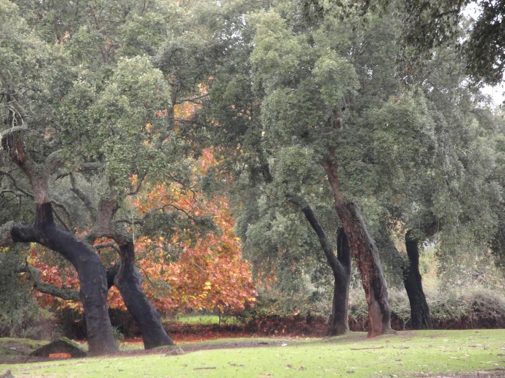 Casa Rural Sierra San Mamede La Codosera Luaran gambar
