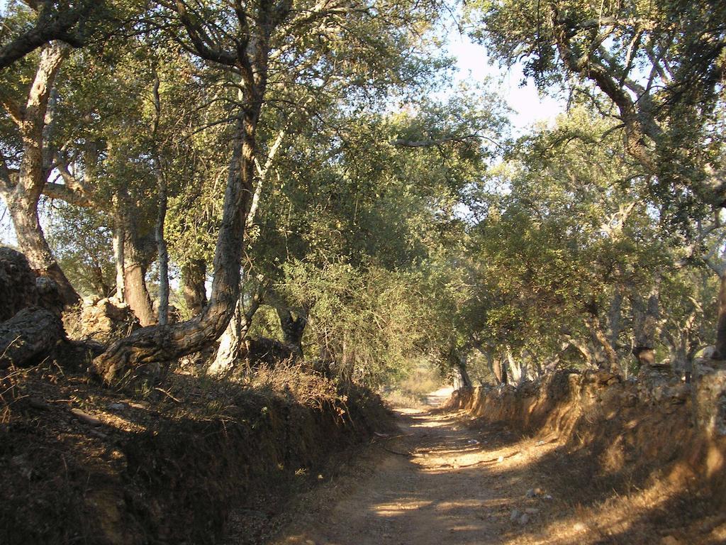 Casa Rural Sierra San Mamede La Codosera Luaran gambar