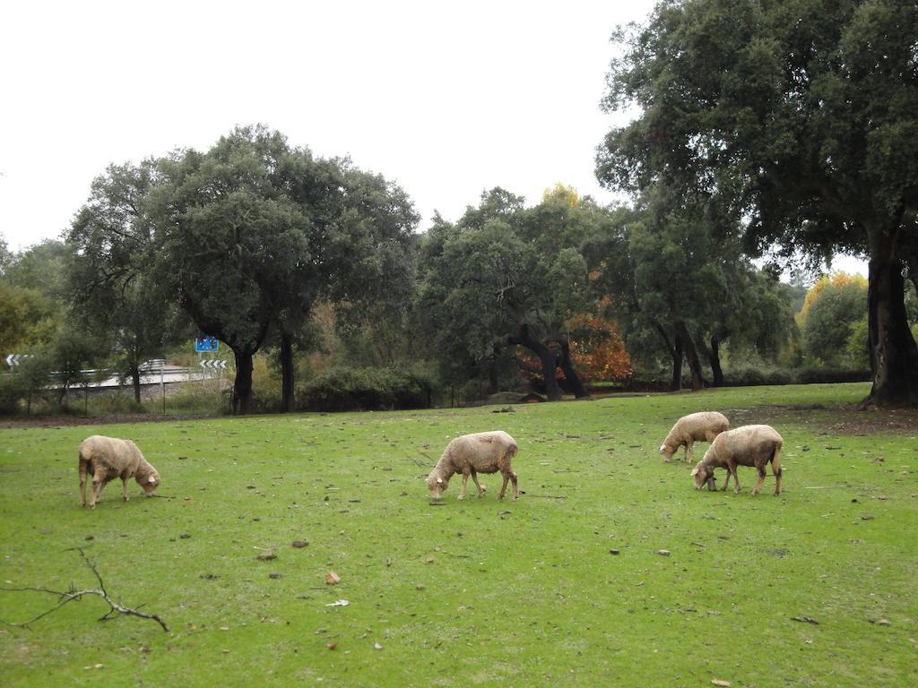 Casa Rural Sierra San Mamede La Codosera Luaran gambar